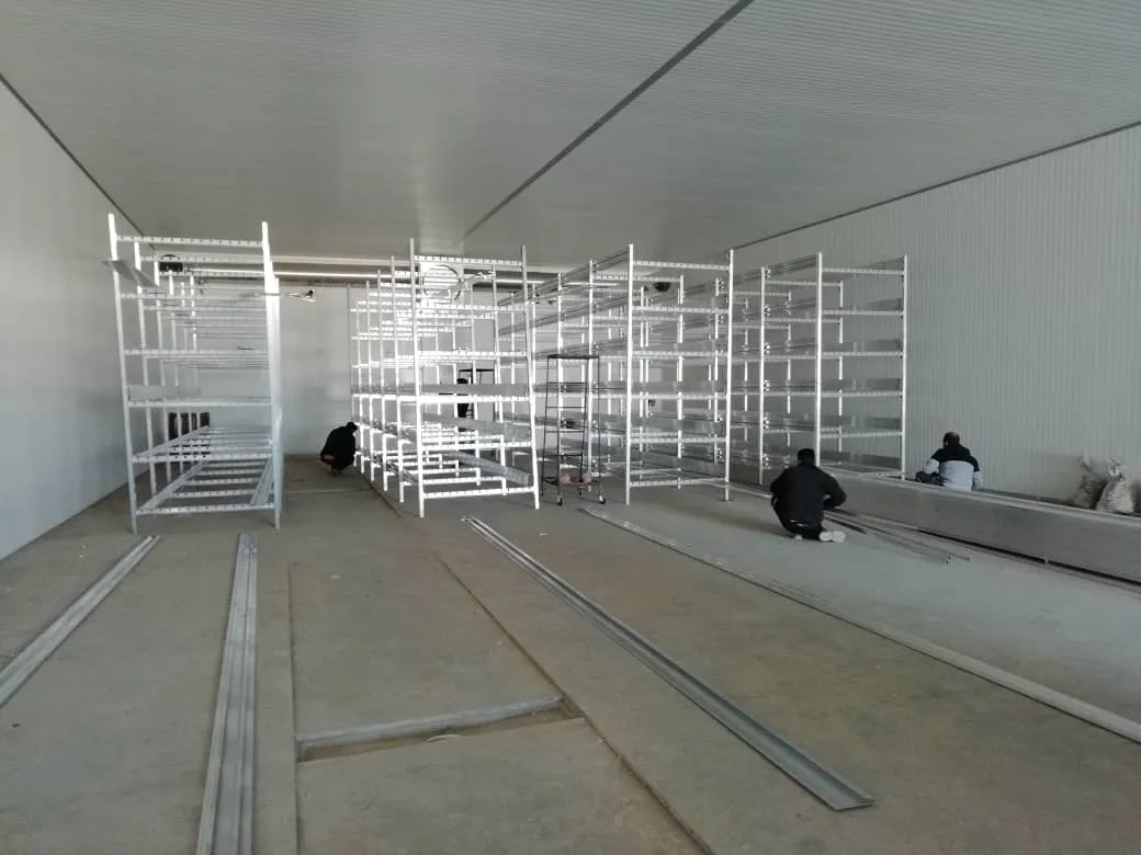 Enari growing racks — wide view across the hall
