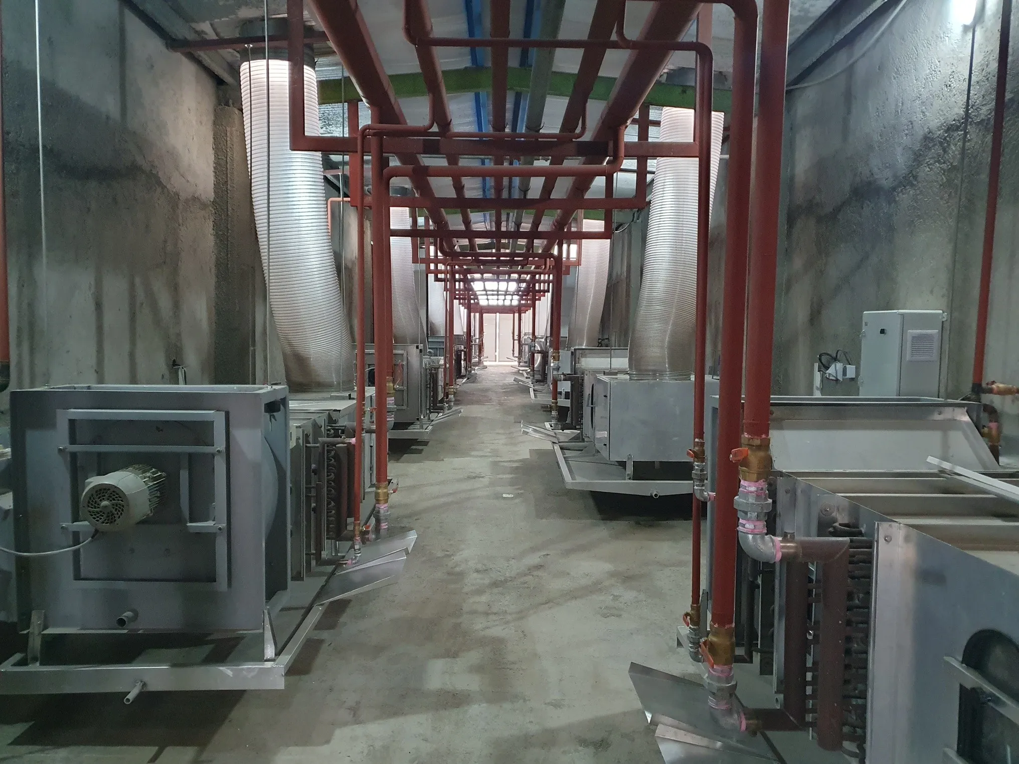 Enari growing racks — wide view across the hall